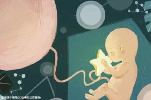 供卵代怀包男孩